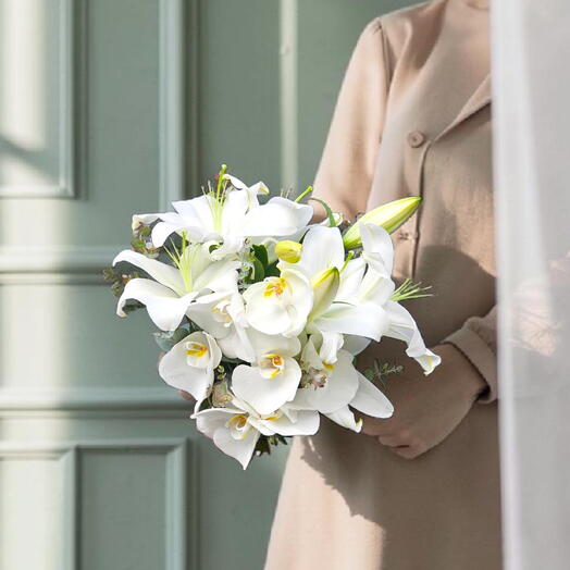 Orkide Liliya (Lily Dreams)