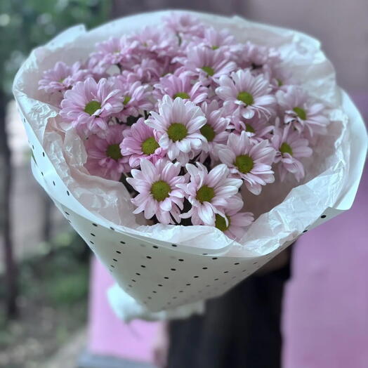 Букет из розовых ромашек