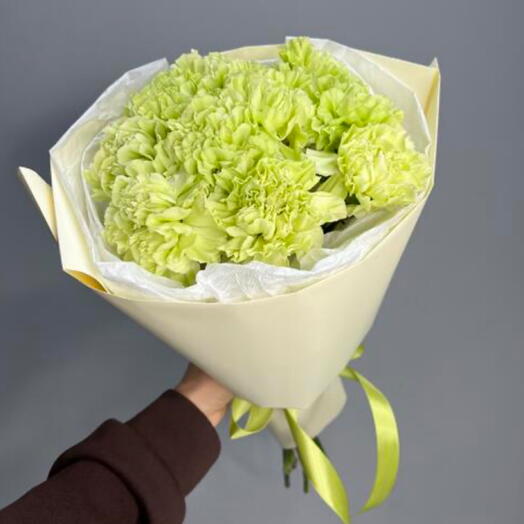 Диантусы зеленые 💚