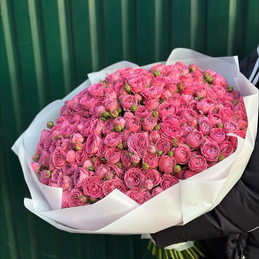 Мисти Бабблз😍️
Одни из самых пышных и сочных кустовых пионовидных роз️
Ягодного оттенка🔥
