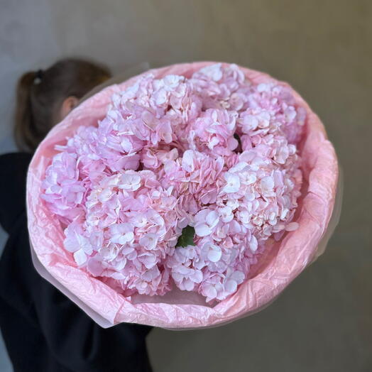 9 розовых гортензий 🌸 Пышные шапки, нежный цвет, живут до 10 дней