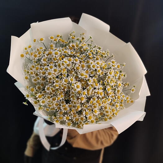 Букет из Ромашек (15шт)