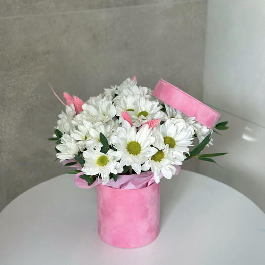 КОМПОЗИЦИЯ 54
