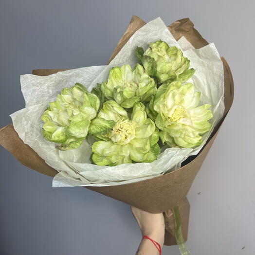 Моно букет из роз Вегги 💚