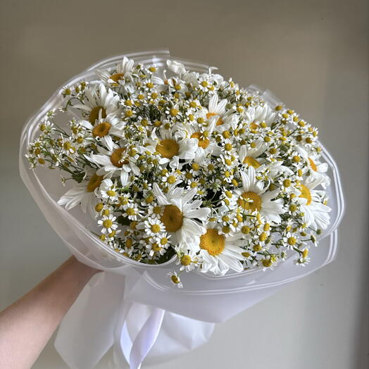 Ромашковая симфония 🌿