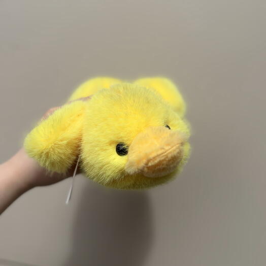 Желтая уточка
