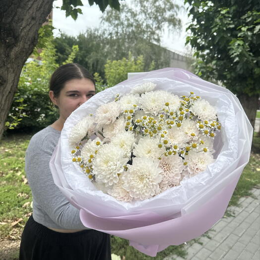 Облако ромашек