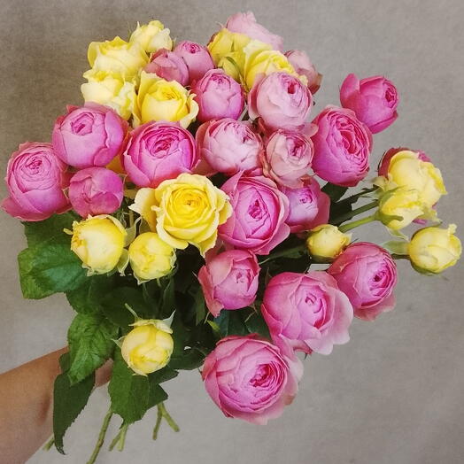 Розы кустовые пионовидные 7 штук 🩷💛