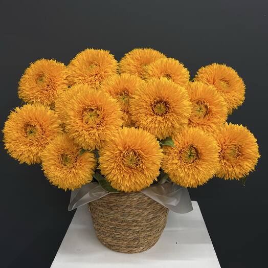 Подсолнух «Тедди» / Sunflower "Teddy" 15шт