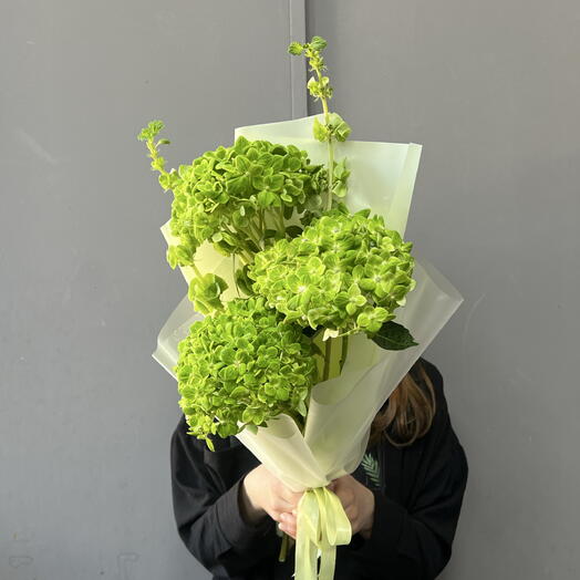 Зеленая гортензия с молюцелой 💚