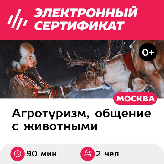 Подарочный сертификат Экскурсия к северным оленям и собакам для взрослого и ребенка в будний день