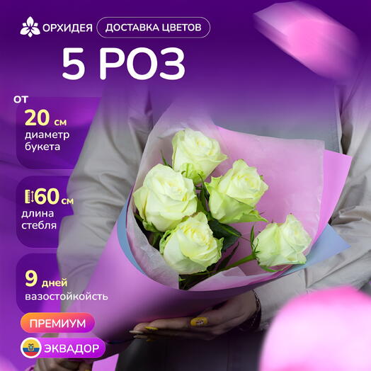 5 Роз белых 60 см