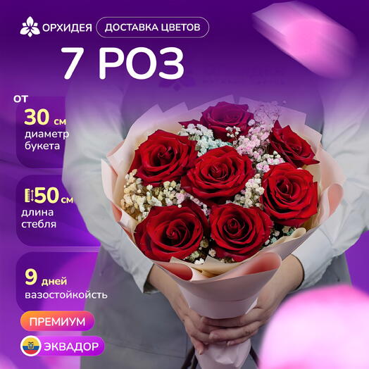 7 красных роз "Эксплорер" с гипсофилой