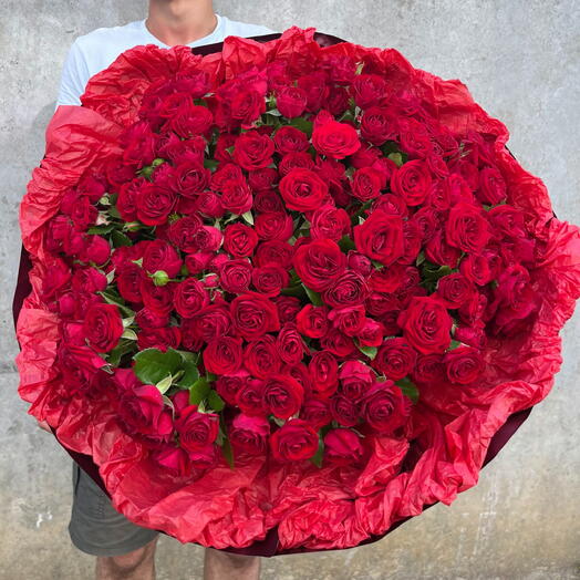 Кустовые розы Red Bablz
