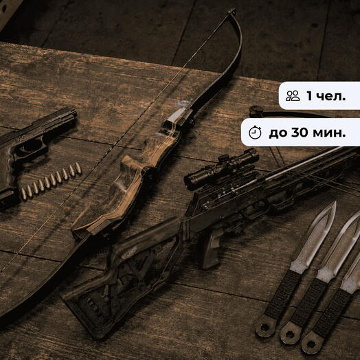 Быстрый и меткий. Стрельба из лука или арбалета и пневматики