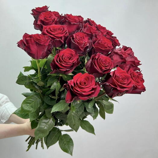 17 красных роз
