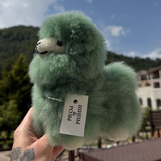 Лама 🩵