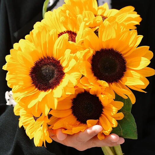 Бует из подсолнухов 🌻
