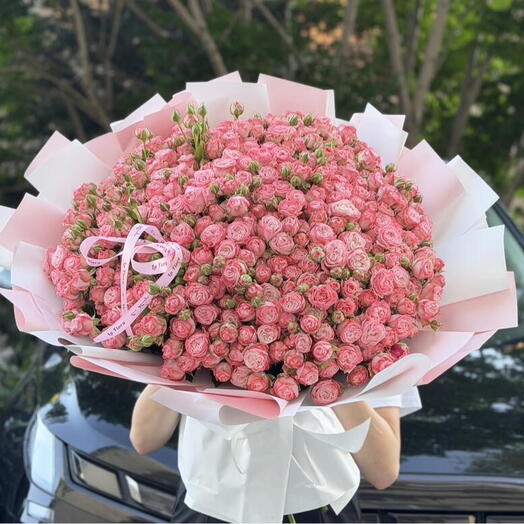 101 Spray roses😍