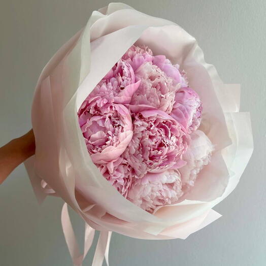 Peony Signature Edition