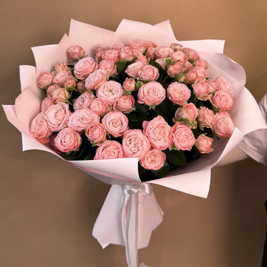Rosa Madame Bombastic