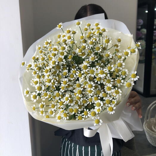 Букет кустовых ромашек