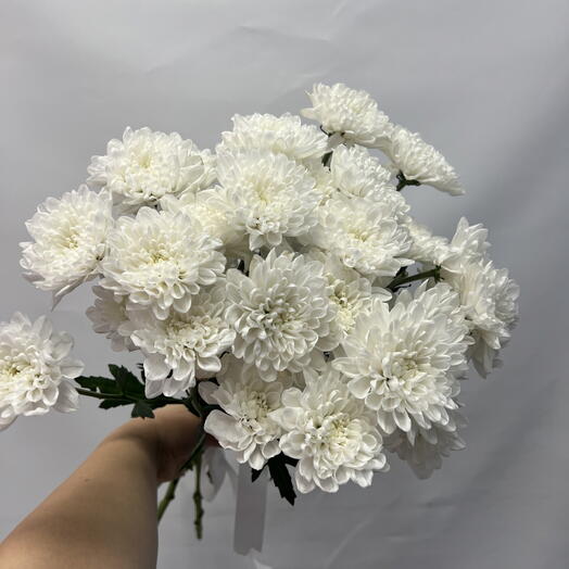 Цветы
