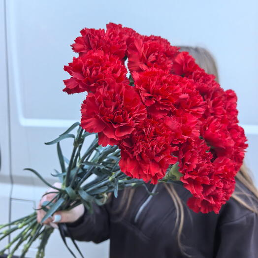 Букет из 20 гвоздик