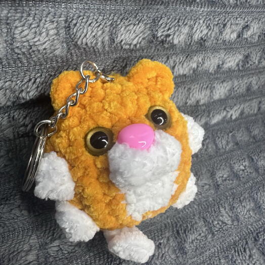 Кот Апельсинкин