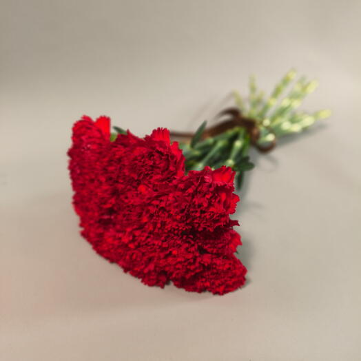 Гвоздики (20)