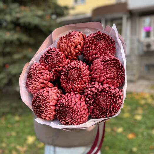 Круглый букет хризантем Бигуди Red