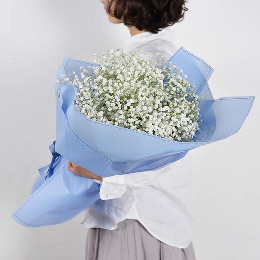 ramo de gypsophila