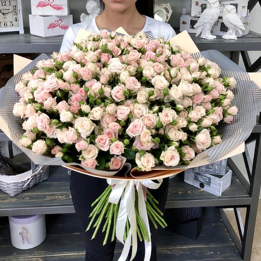 Ramo de 51 rosas de arbusto "Jana"