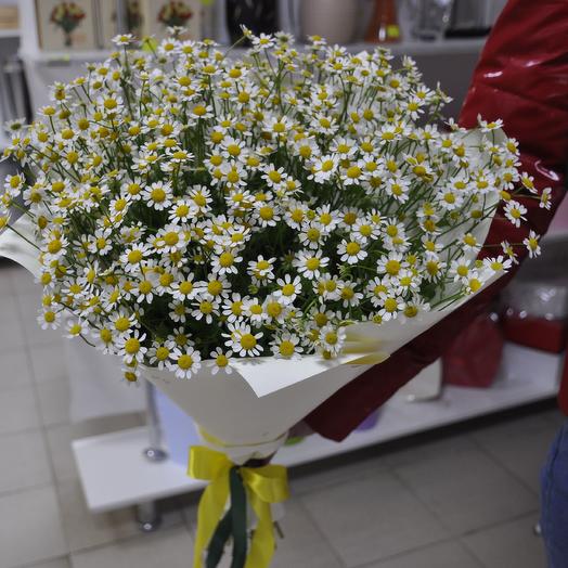 Ramo de 15 margaritas (Tanacetum)