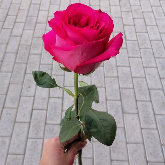 Пинк Флойд