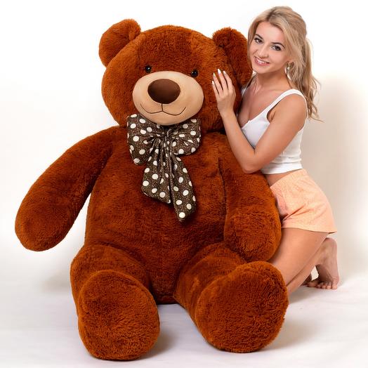 Oso de peluche grande de chocolate 160cm
