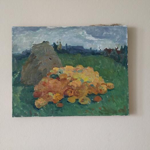 "Pumpkin Harvest"