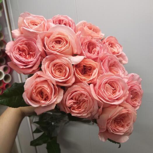 15 peony-shaped pink roses