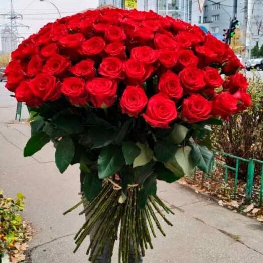 Розы 51 штука