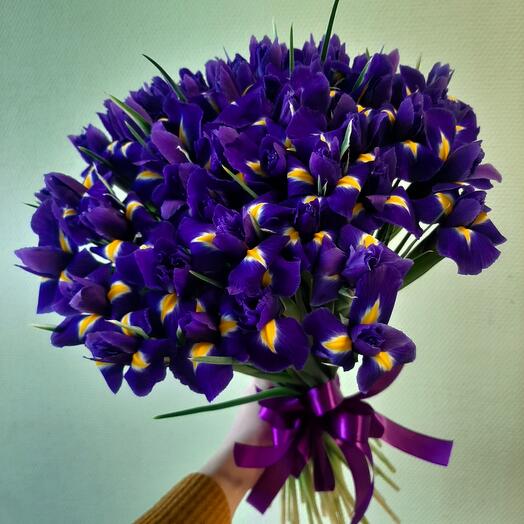 Bouquet of 49 irises