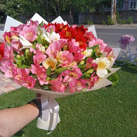 Alstroemeria Mix