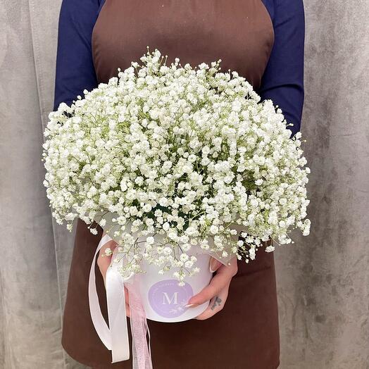 An air cloud of gypsophila in a box