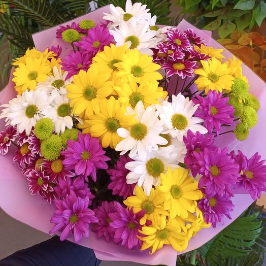 Микс из  крымской хризантемы