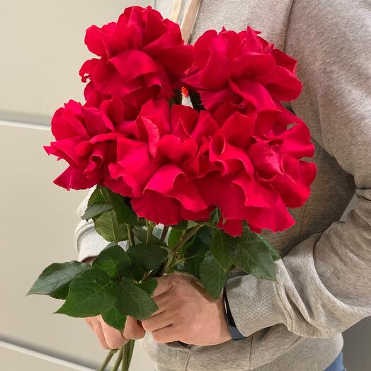 5 roses by Sophia Loren