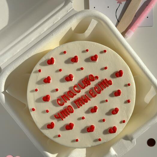 Bento cake "Thank you for being there"
