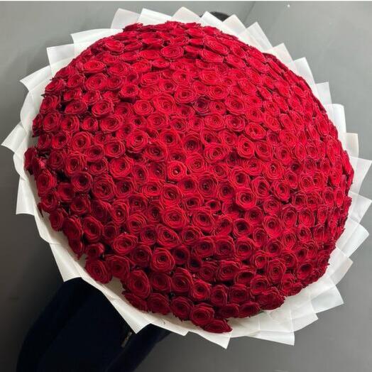 Букет из 301 Роза 70 см