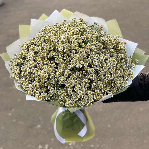 Букет из 75 ромашек