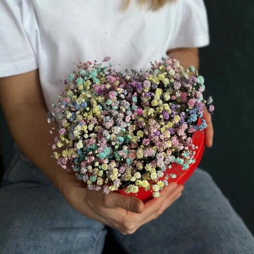 Сердце из гипсофилы мини