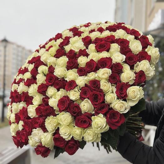 Rosas