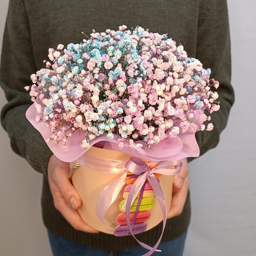 Гипсофила в коробке